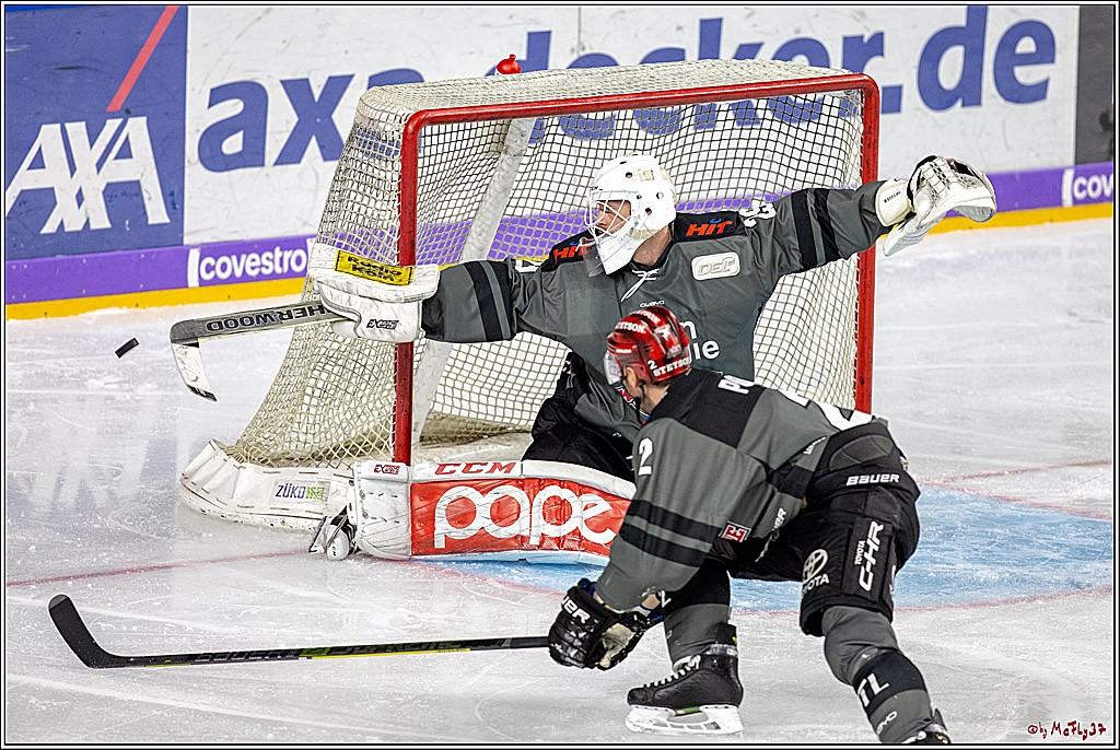 DEL; Koelner Haie - Straubing Tigers, 02.12.2018